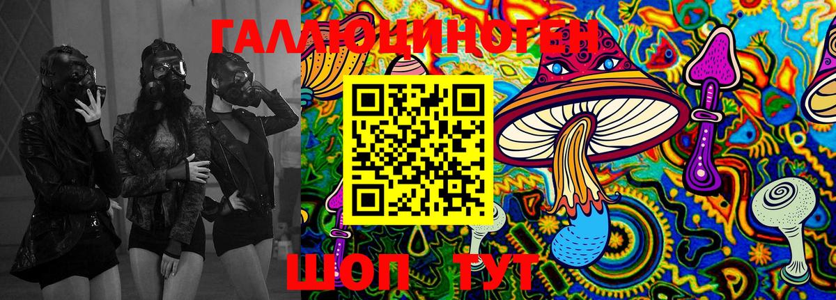 Псилоцибиновые грибы Psilocybe Саранск
