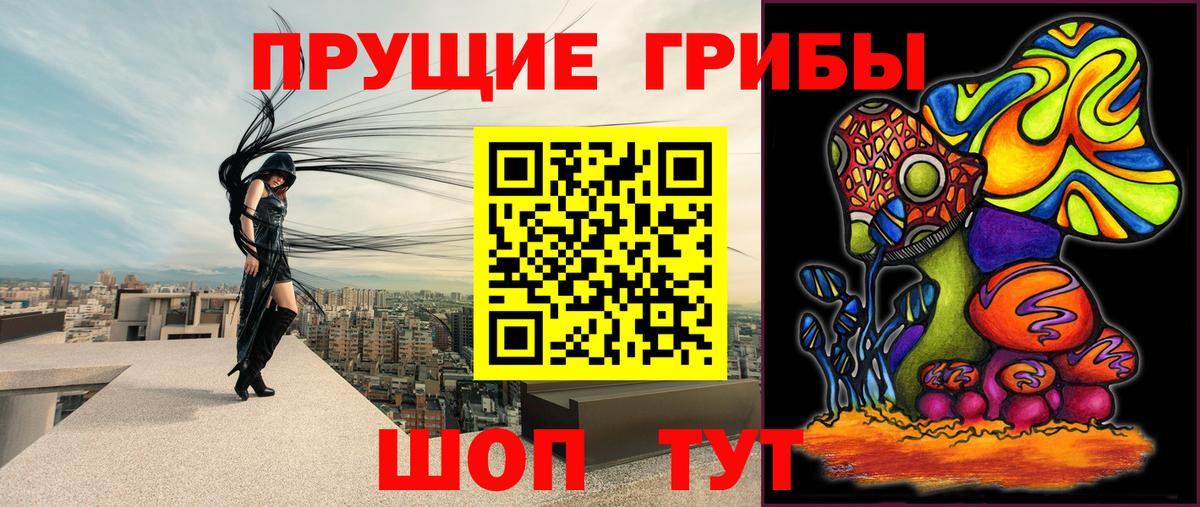Саранск  Псилоцибиновые грибы Cubensis  Вход с VPN 